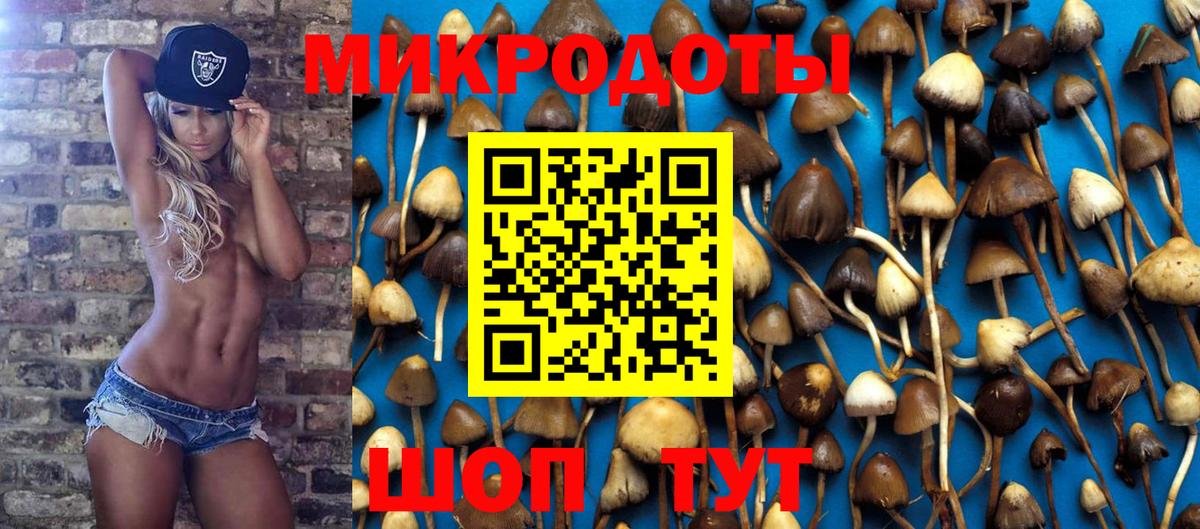 Галлюциногенные грибы Psilocybine cubensis  Вход с VPN  Аша 